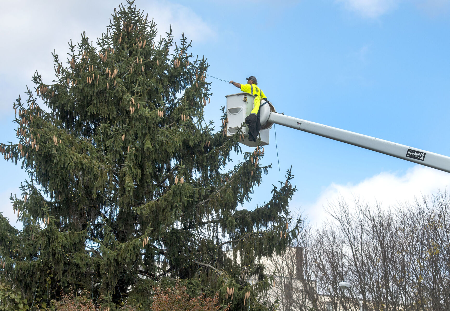 Bristol Christmas Tree Lights